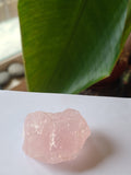 Rose Quartz